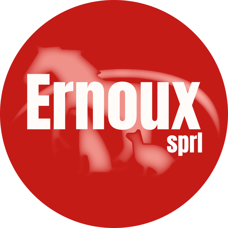 ernoux